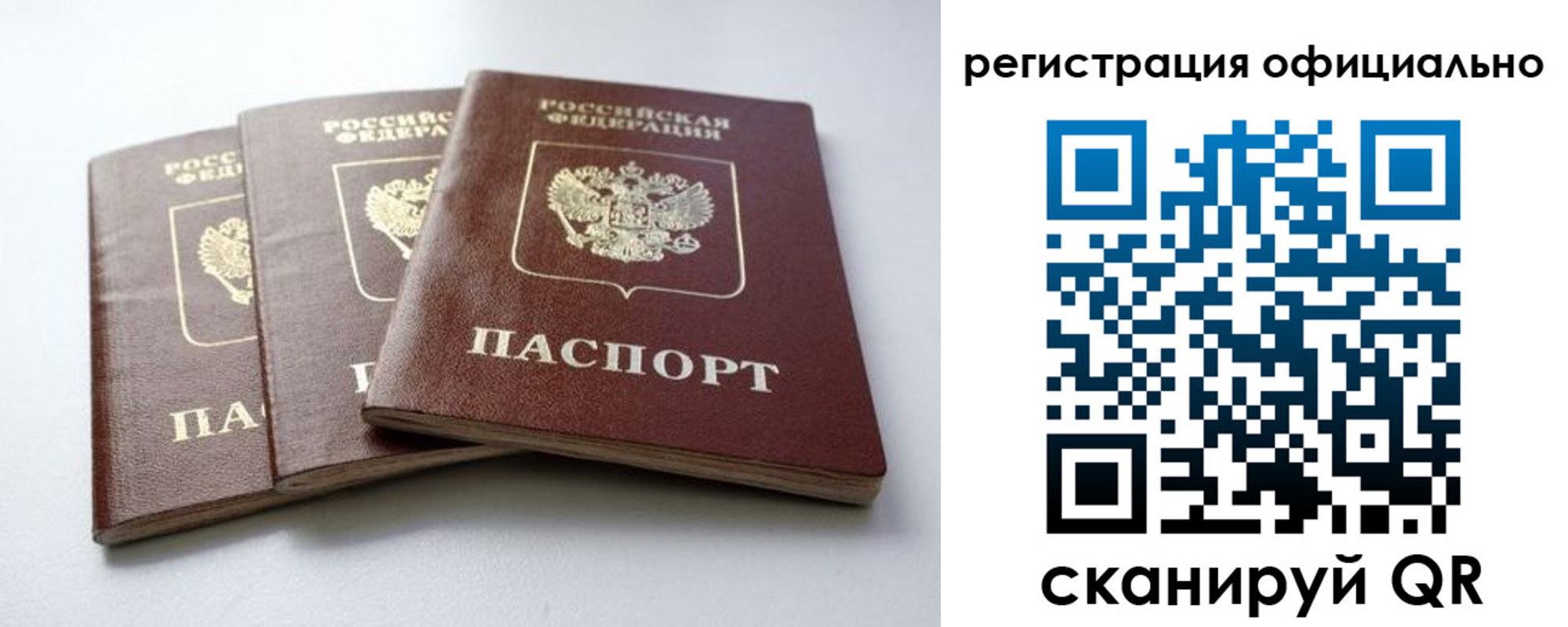 прописка паспорт в Оленегорске
